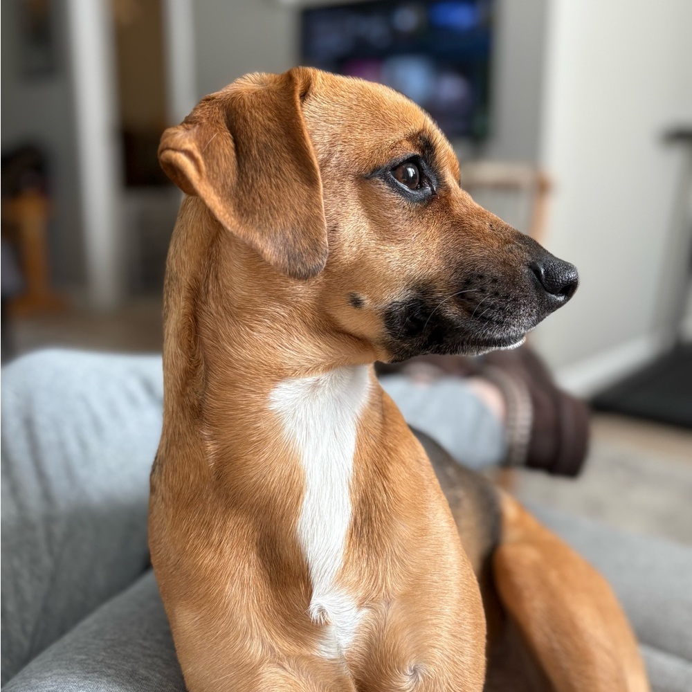 Meet your Posher, Katherine